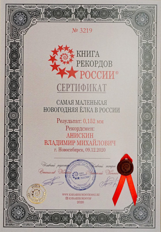 Сертификат книга рекордов России - Самый маленький ёлка