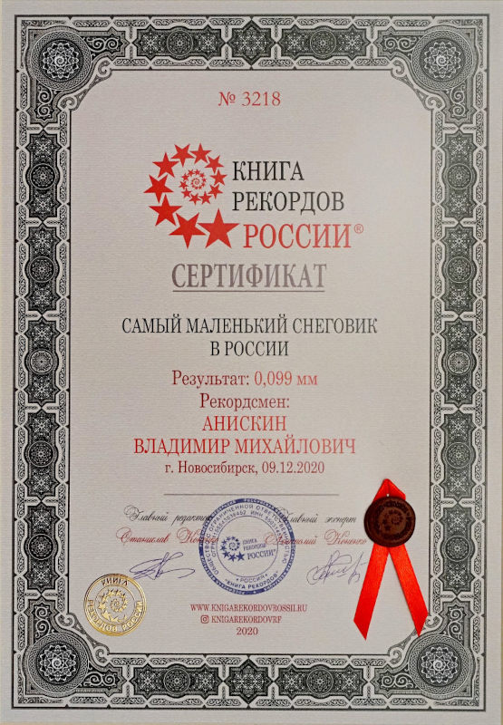 Сертификат книга рекордов России - Самый маленький снеговик